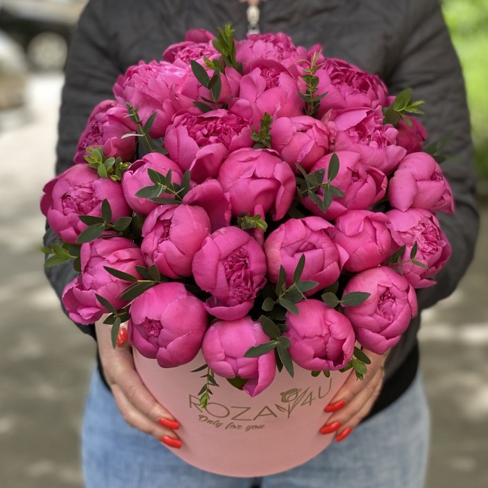 25 малиновых пионов в коробке