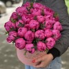 25 малиновых пионов в коробке