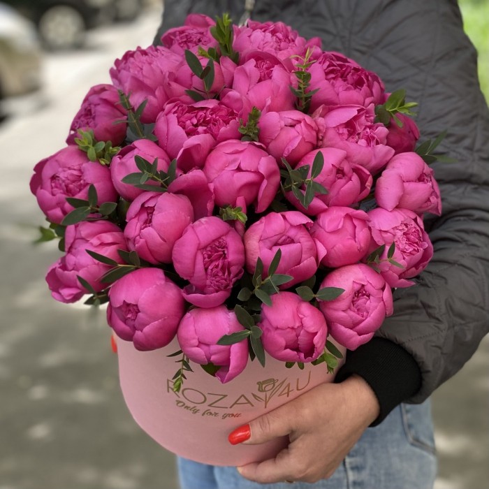 25 малиновых пионов в коробке