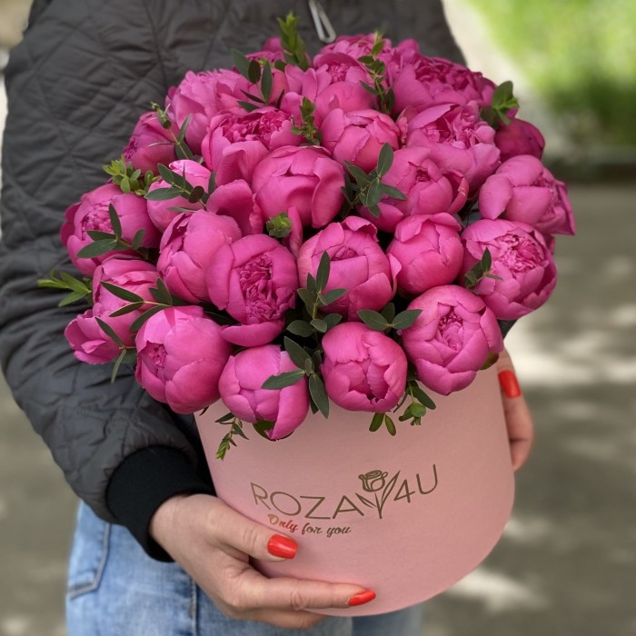 25 малиновых пионов в коробке