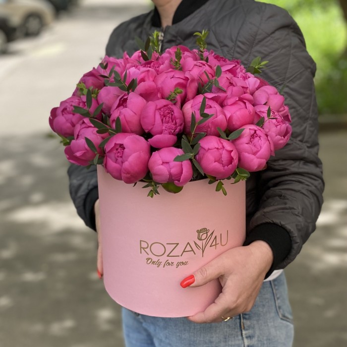 25 малиновых пионов в коробке