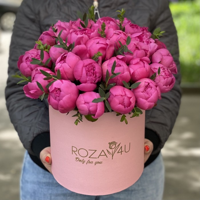 25 малиновых пионов в коробке