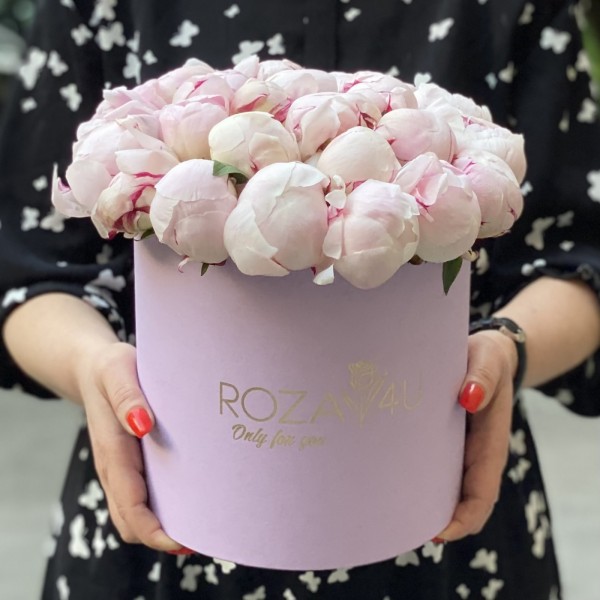 25 пионов Фестива в коробке