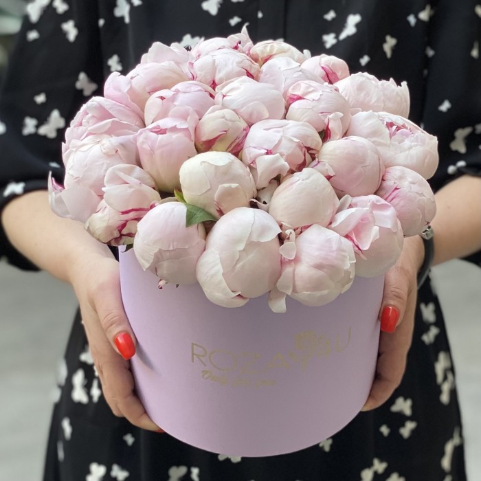 25 пионов Фестива в коробке