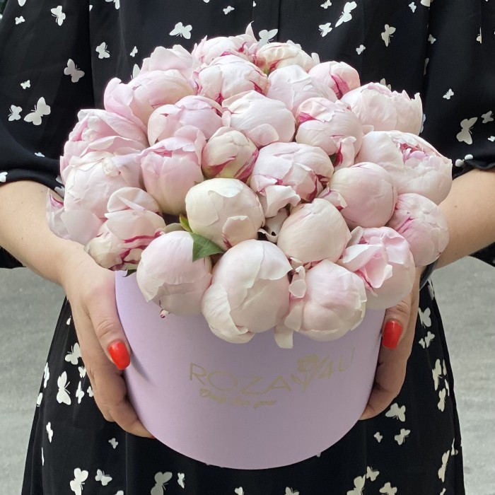 25 пионов Фестива в коробке