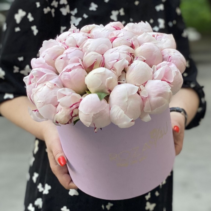 25 пионов Фестива в коробке