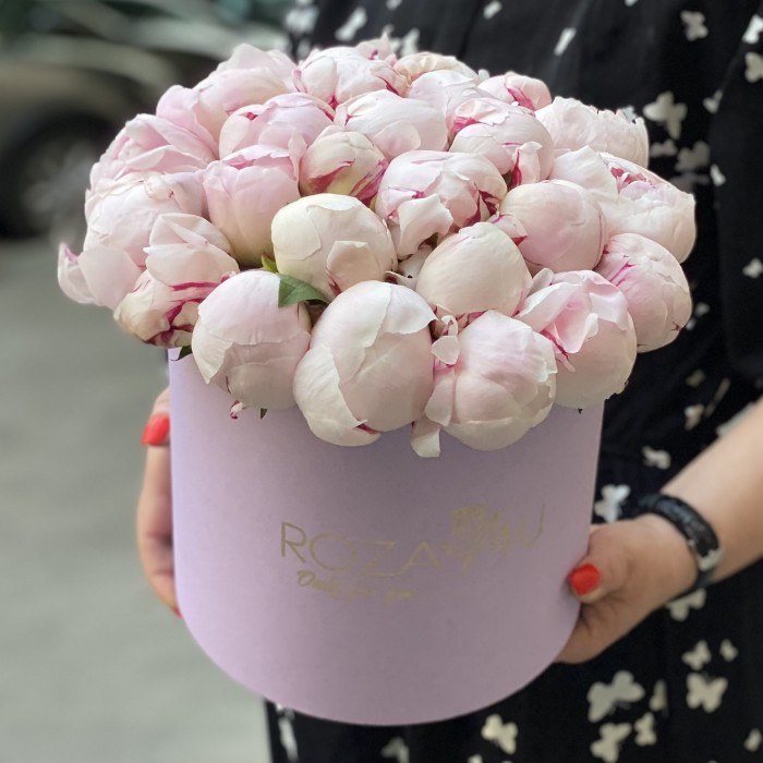 25 пионов Фестива в коробке