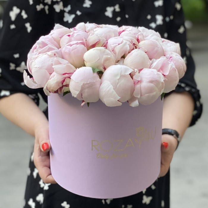 25 пионов Фестива в коробке