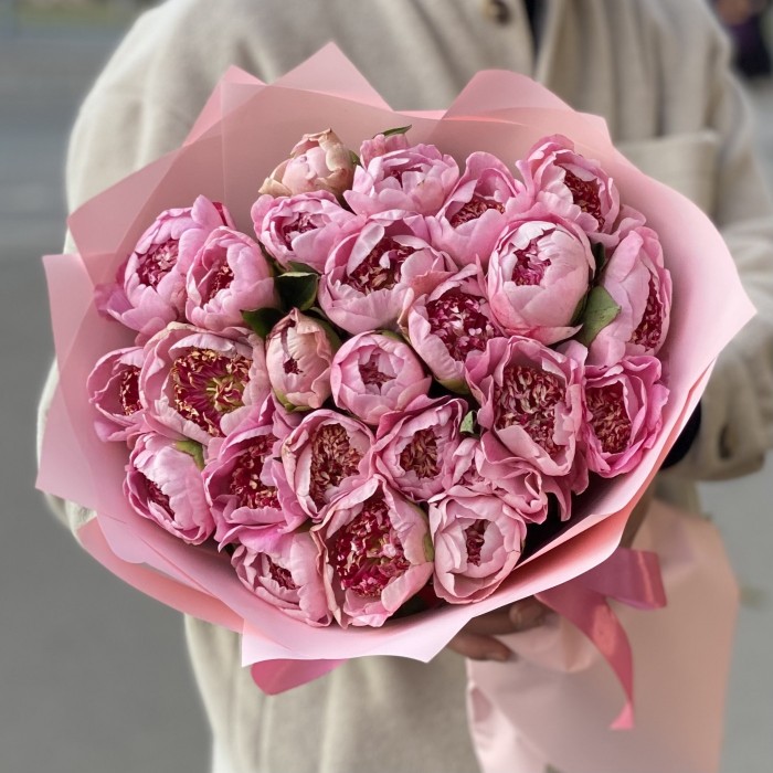 25 светло-розовых мини пионов