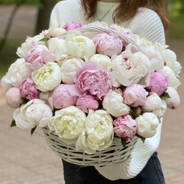 51 белый и розовый пион в корзине