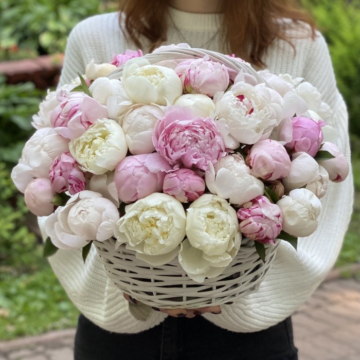 51 белый и розовый пион в корзине