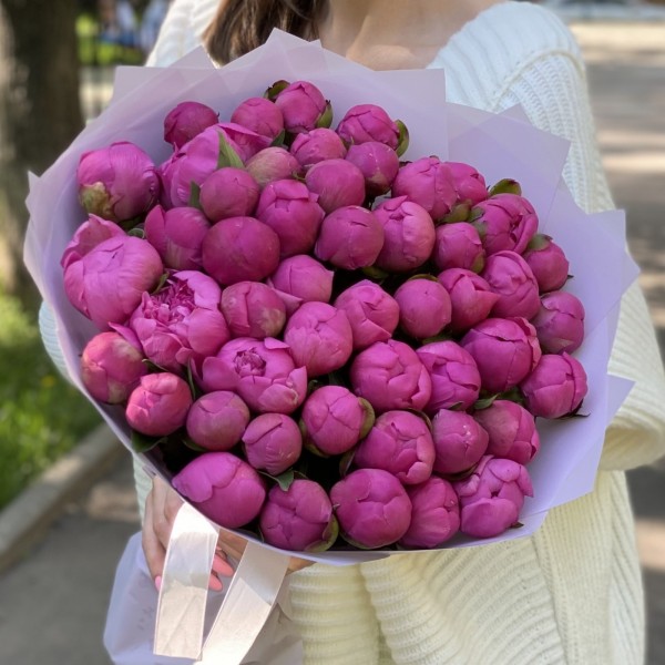 51 малиновый пион