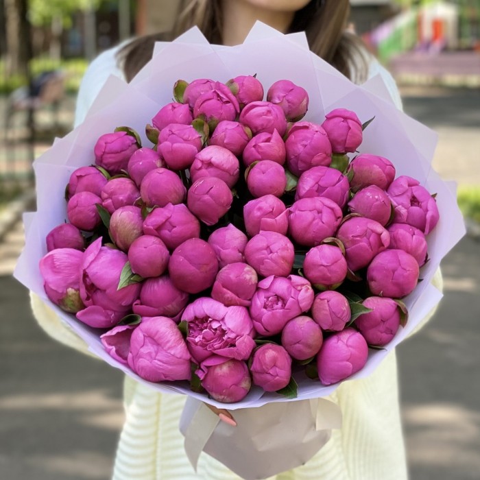 51 малиновый пион