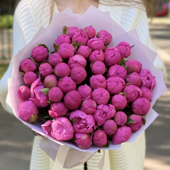 51 малиновый пион