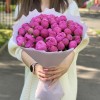 51 малиновый пион