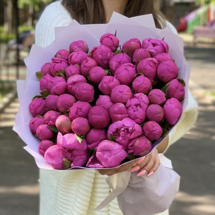 51 малиновый пион