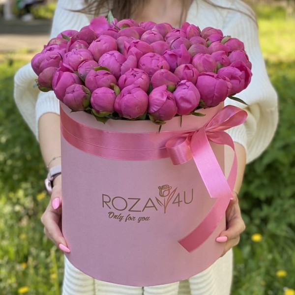 51 малиновый пион Флеминг в коробке