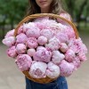 51 розовый пион Сара Бернар в корзине