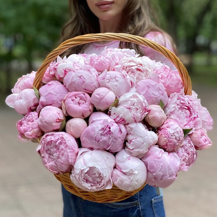 51 розовый пион Сара Бернар в корзине