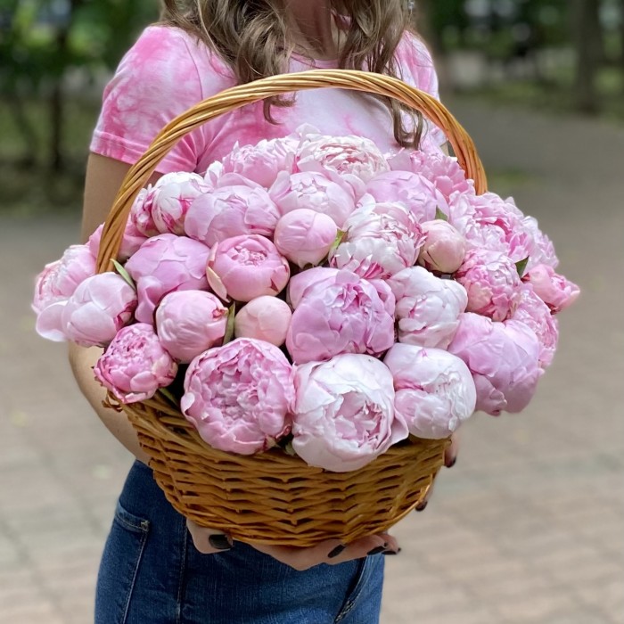 51 розовый пион Сара Бернар в корзине