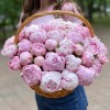 51 розовый пион Сара Бернар в корзине