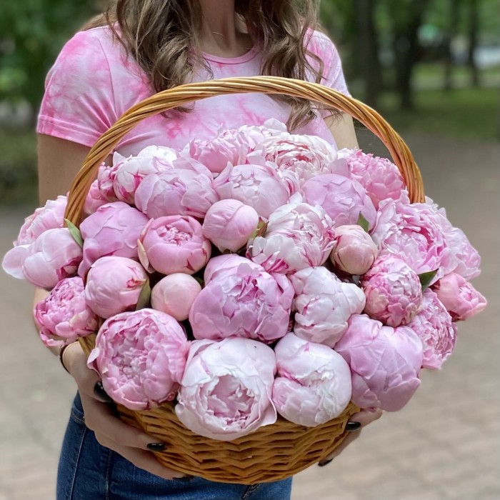 51 розовый пион Сара Бернар в корзине