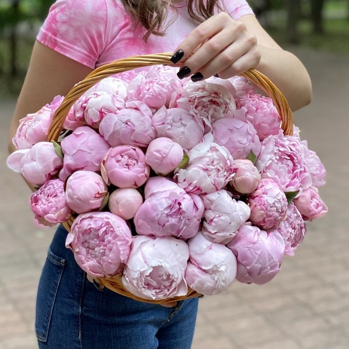51 розовый пион Сара Бернар в корзине