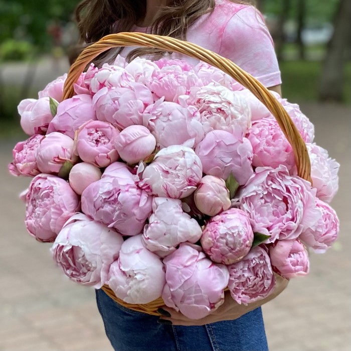 51 розовый пион Сара Бернар в корзине