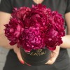 7 пионов Канзас в коробке