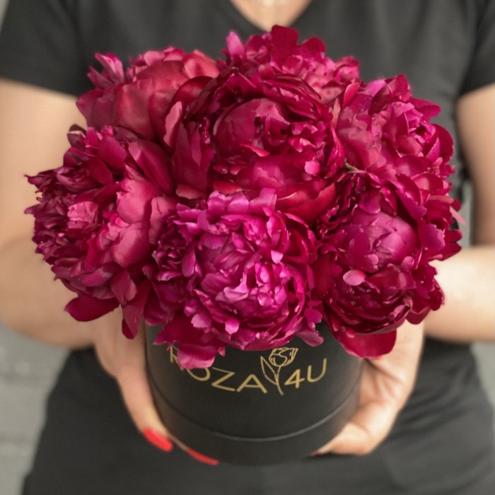 7 пионов Канзас в коробке