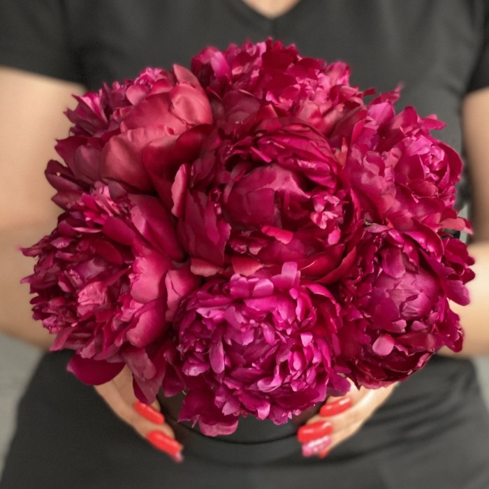 7 пионов Канзас в коробке