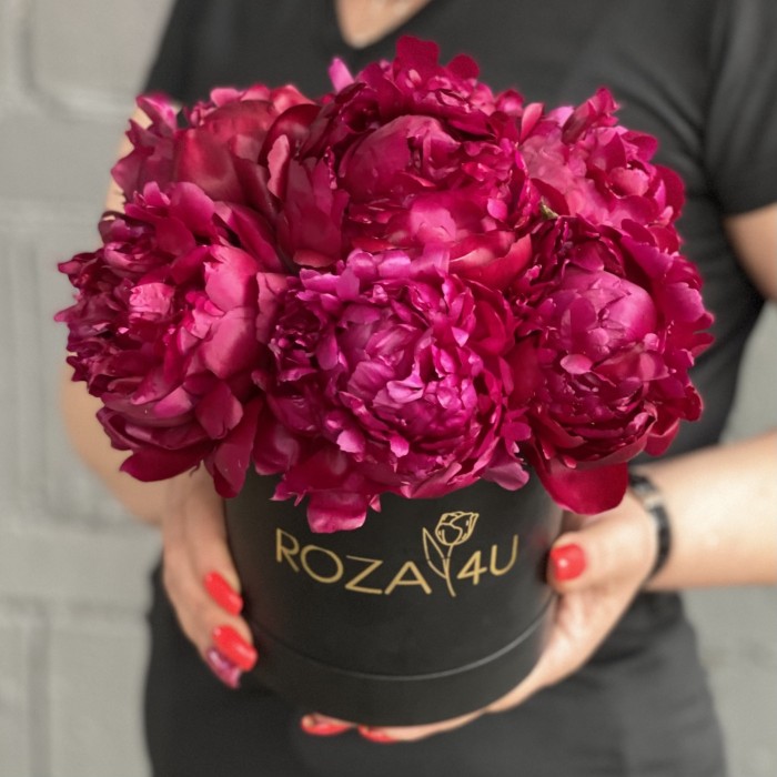 7 пионов Канзас в коробке