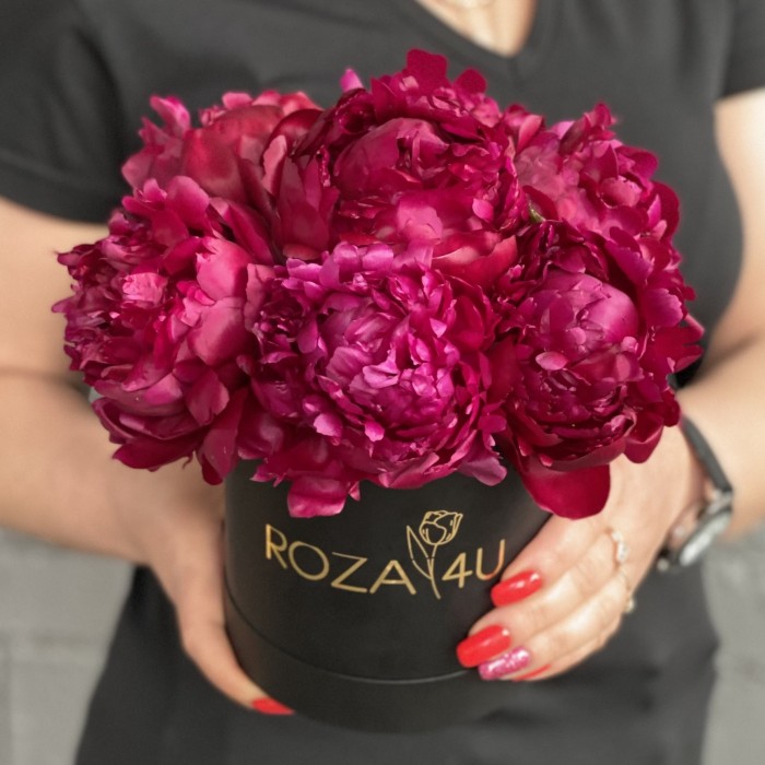 7 пионов Канзас в коробке