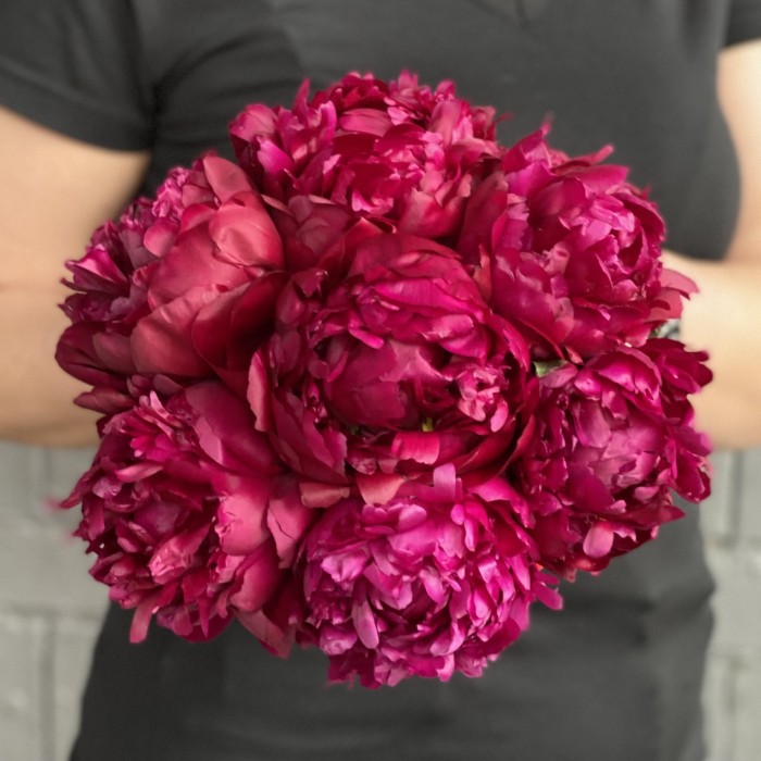 7 пионов Канзас в коробке