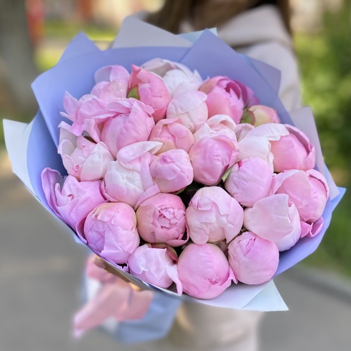 25 нежно-розовых пионов Гардения