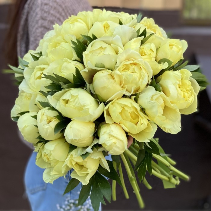 Лимонные пионы