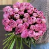 Пион розовый Александр-Эльза