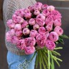 Пион розовый Александр-Эльза