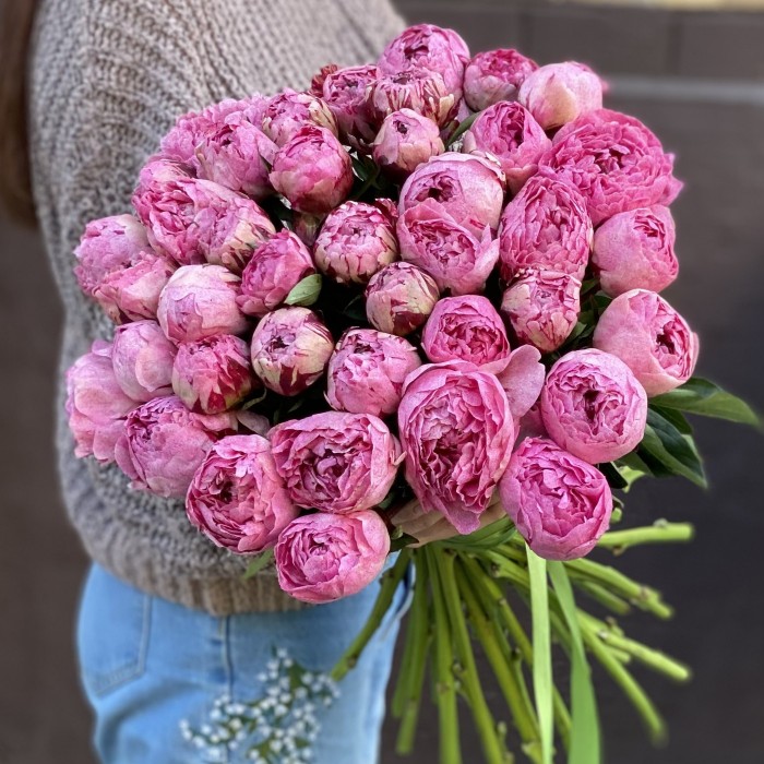 Пион розовый Александр-Эльза