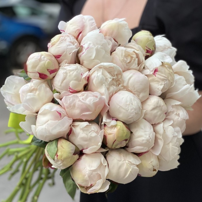 Пионы Белая Сара