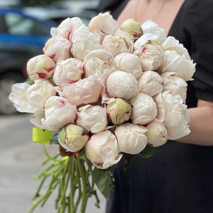 Пионы Белая Сара