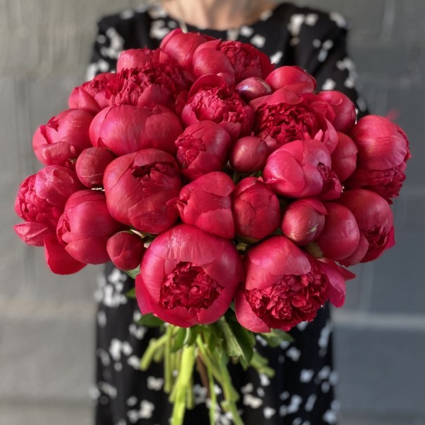 Пион гранатовый