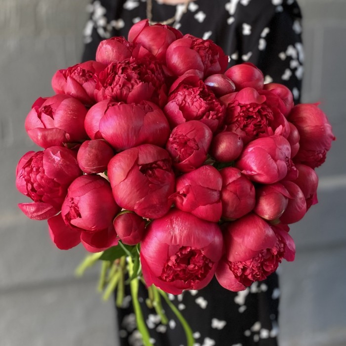 Пион гранатовый