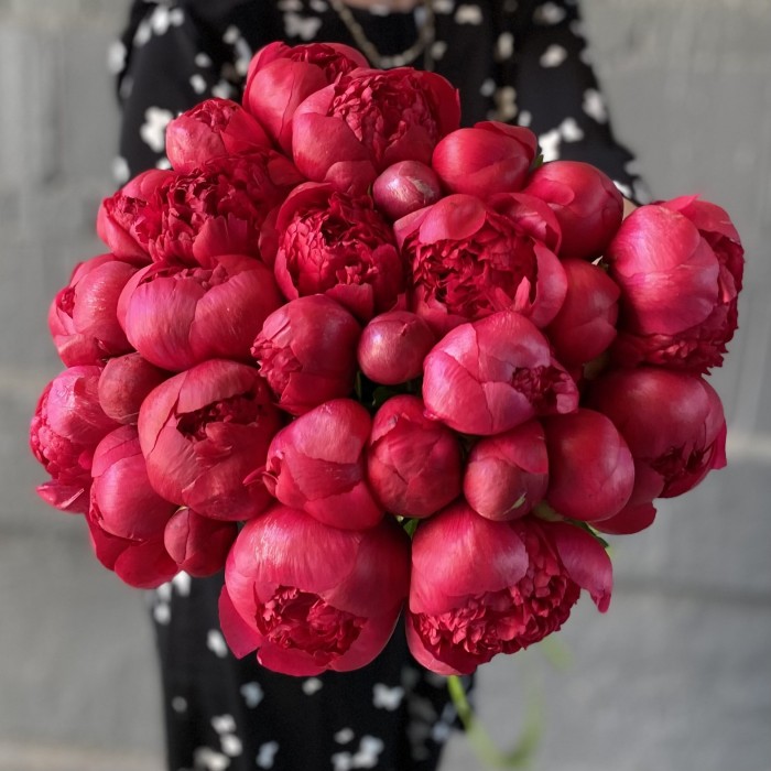 Пион гранатовый