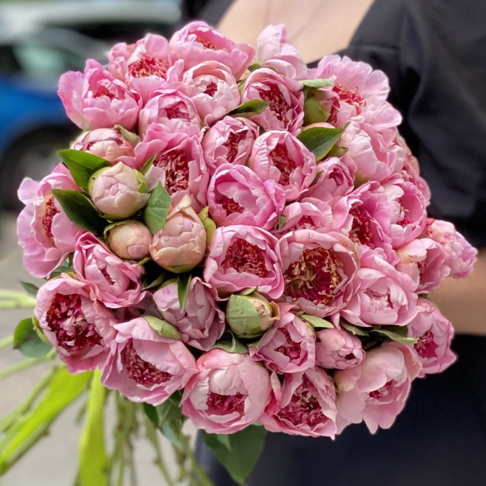 Пионы мини светло-розовые