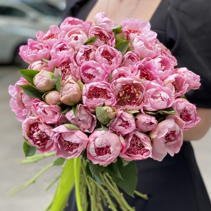 Пионы мини светло-розовые