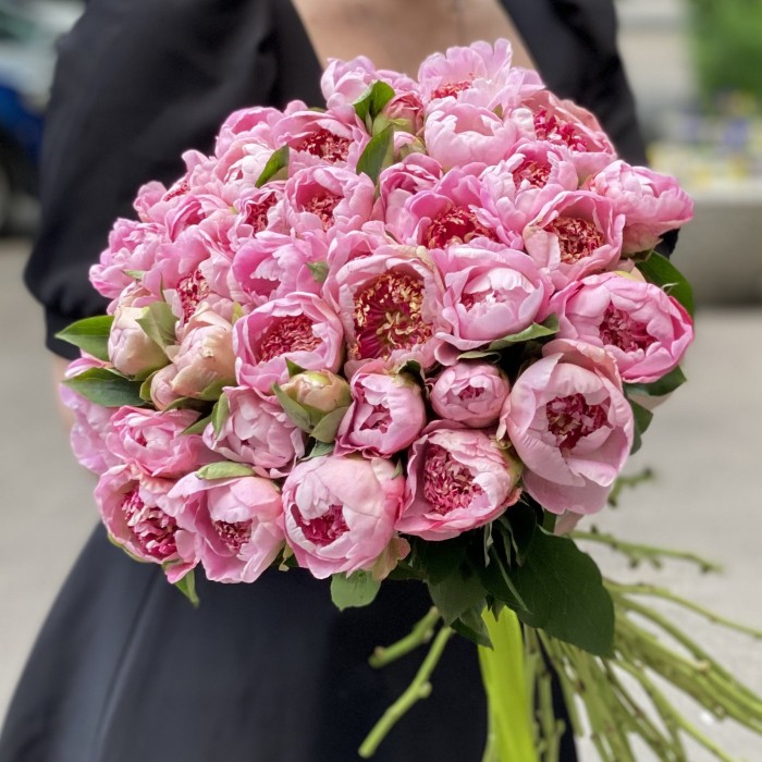 Пионы мини светло-розовые