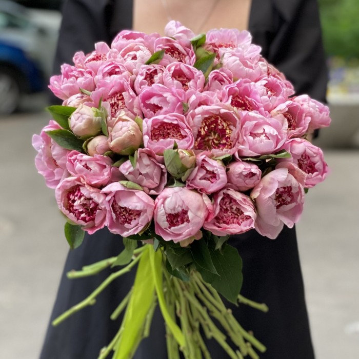 Пионы мини светло-розовые