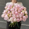 Пион нежно-розовый Ангел Чикс