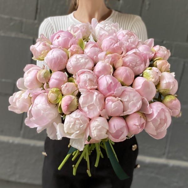 Пион нежно-розовый Ангел Чикс